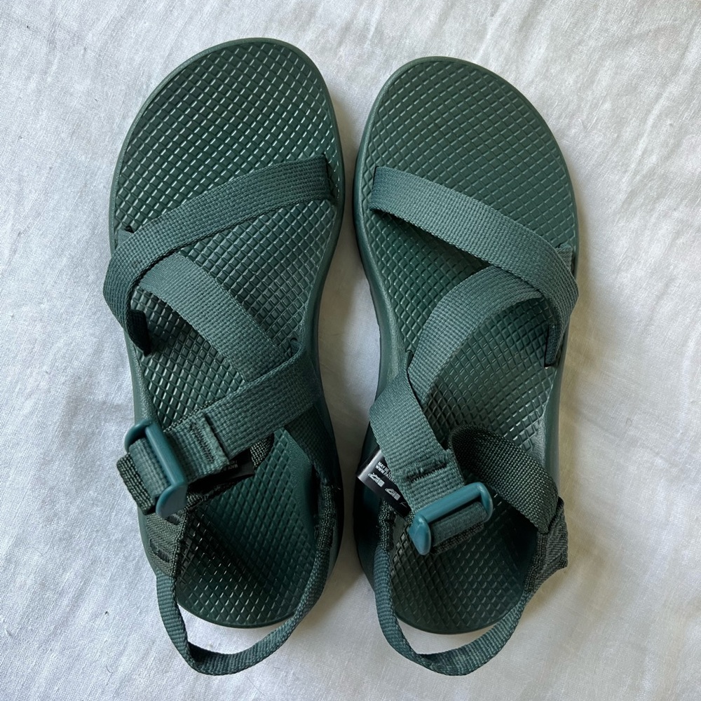 Chaco Z1 Classic Women’s in Sea Pine